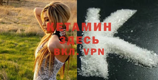 ECSTASY Богородицк