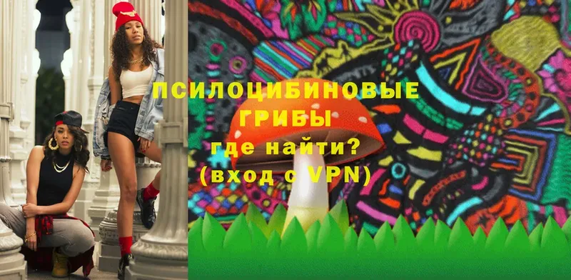 Псилоцибиновые грибы Magic Shrooms Билибино